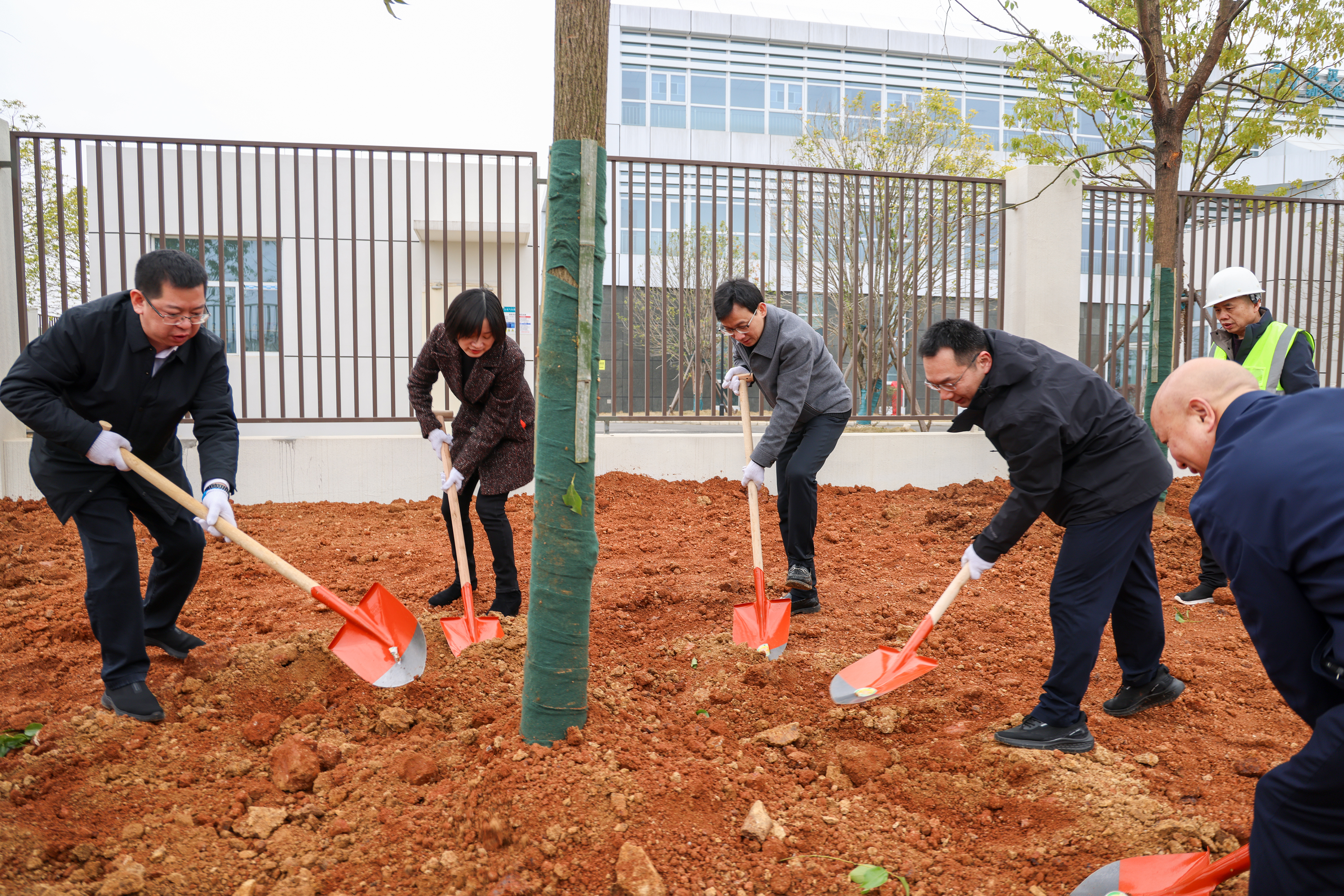 IMGL0495.JPG IMGL0495.JPG